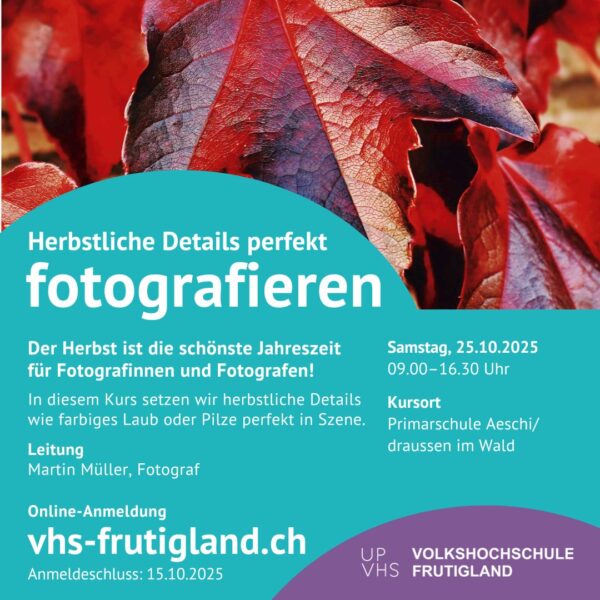 Fotografieren herbstliche Details