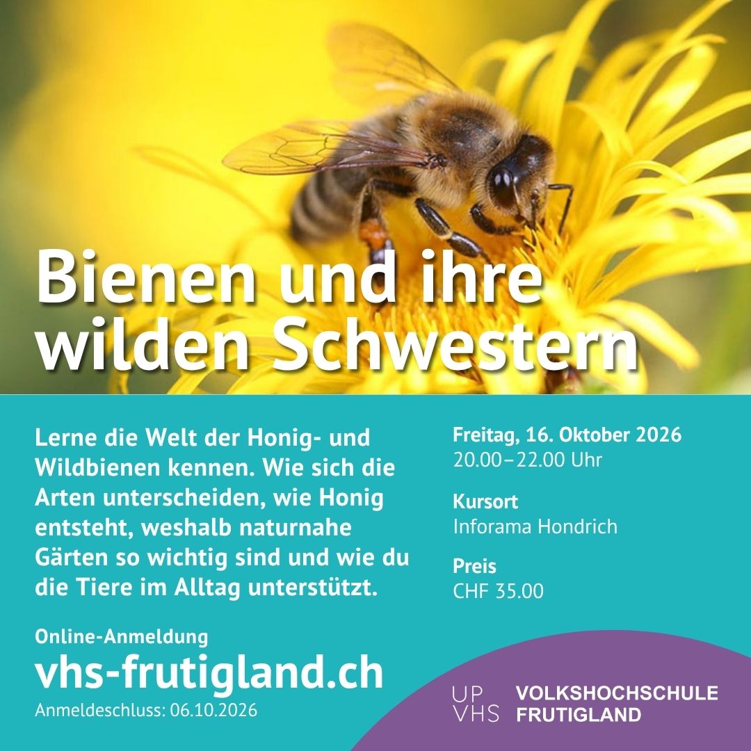 Bienen und ihre wilden Schwestern